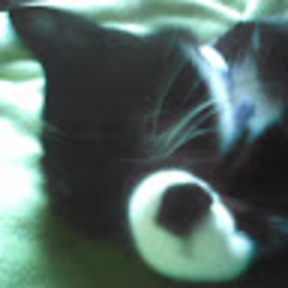 Meet your Posher, Karen - Picture 1 of 1